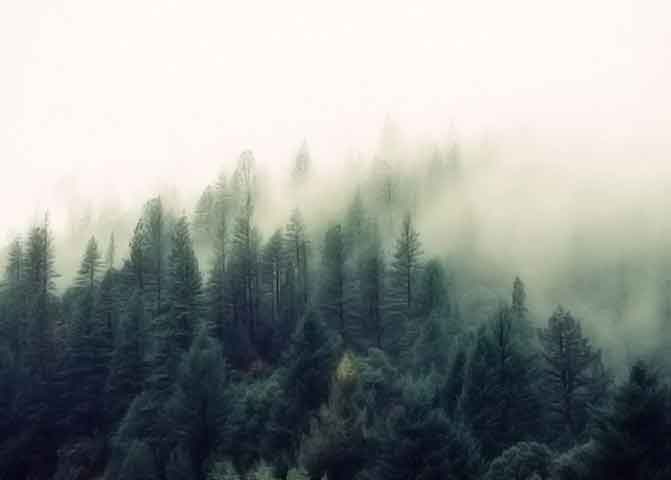 无限轰炸手机软件短信下载